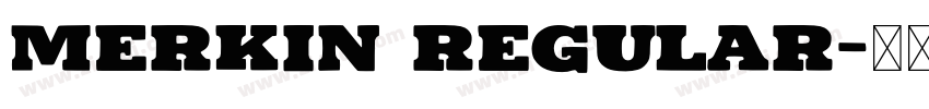 Merkin Regular字体转换